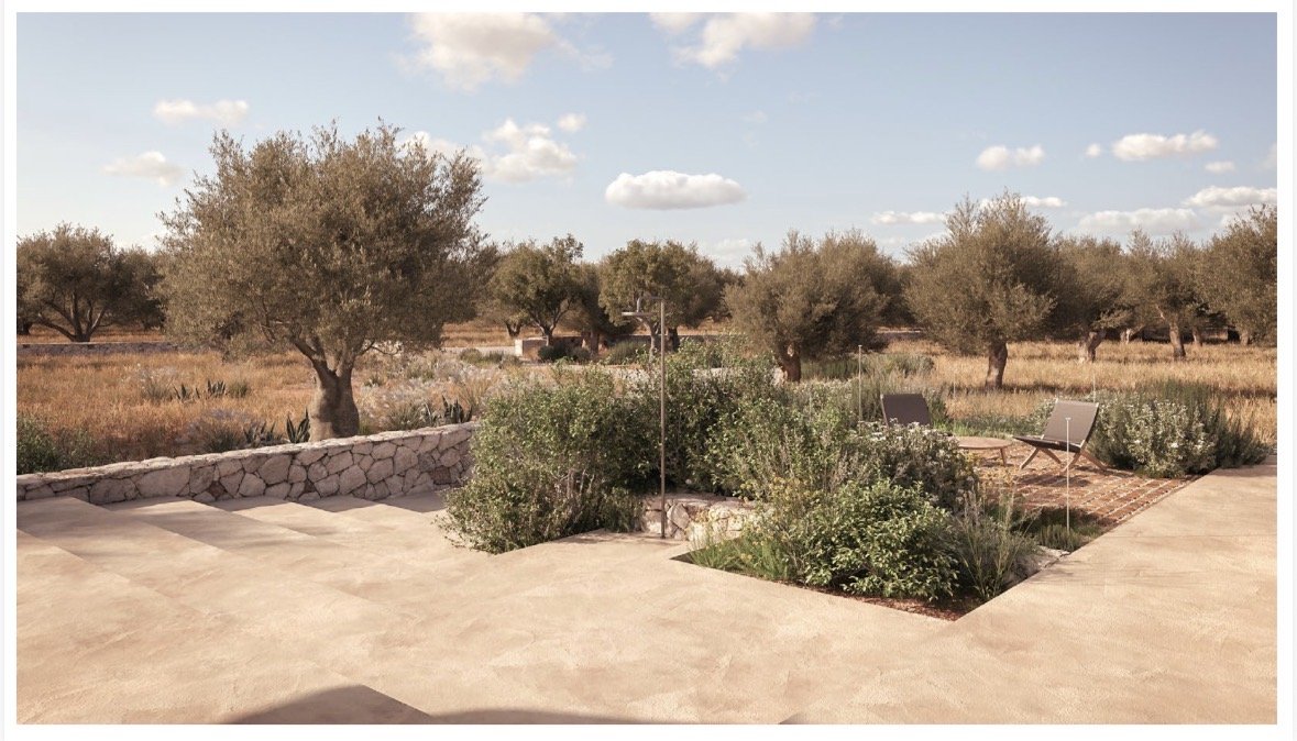 Tuin met natuurstenen muurtje en olijfgaard