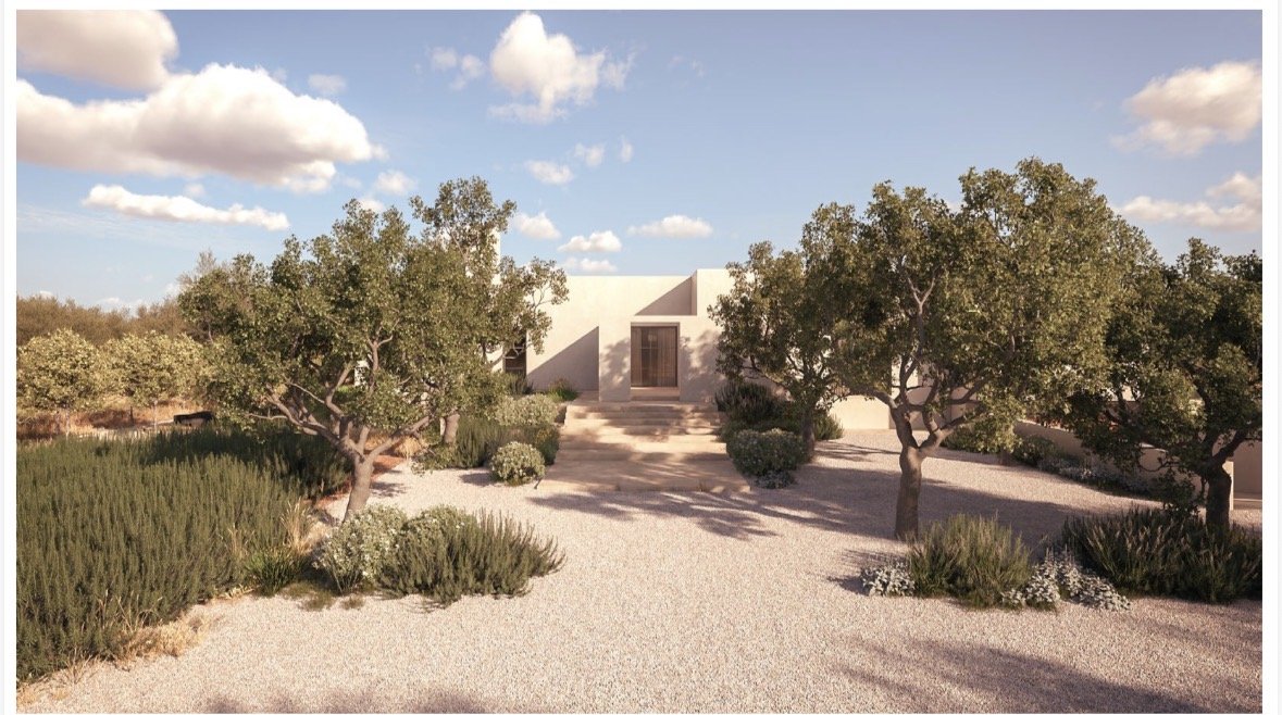 De villa verscholen tussen olijfbomen